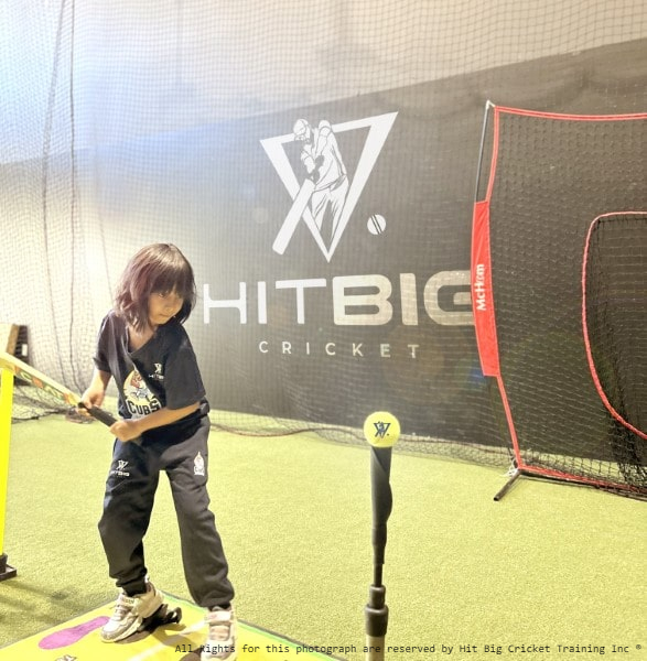 Cricket