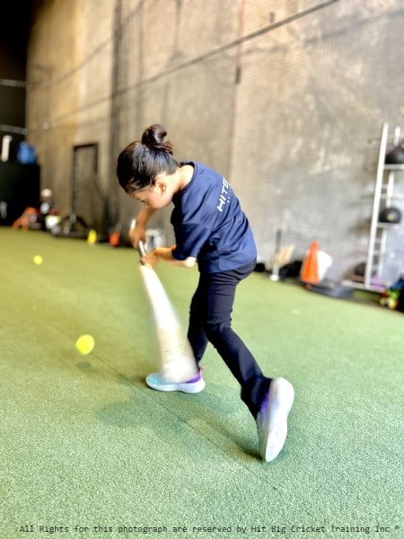 Junior Cricket