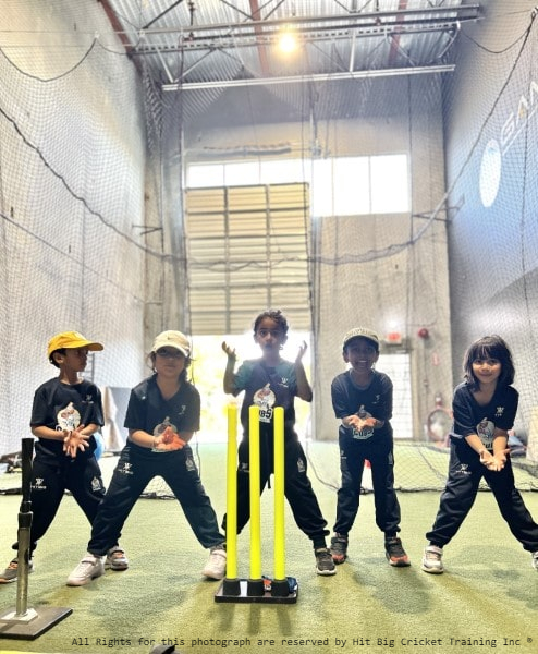 Junior Cricket
